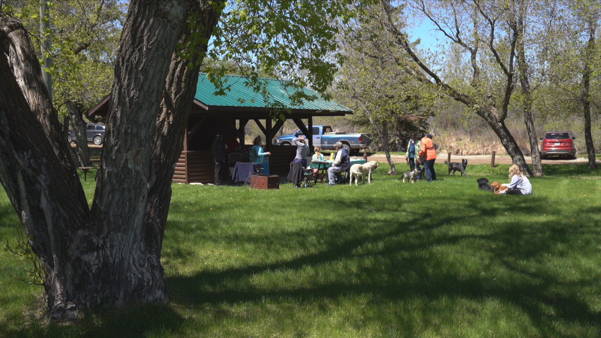 Birtle Walk for Dog Guides - May 26, 2019