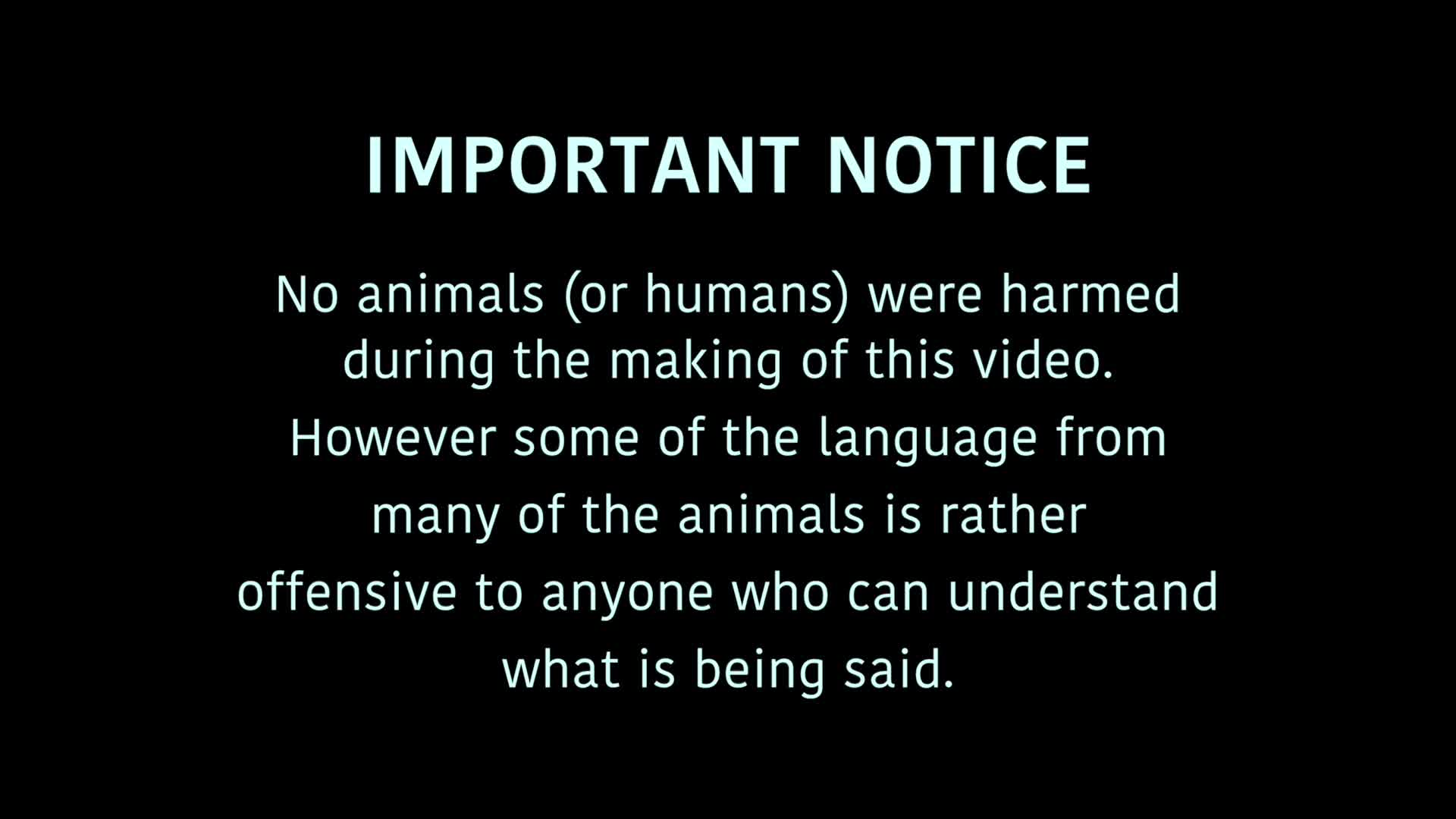 Birt - Beware of the Trap - Oct 28, 2021