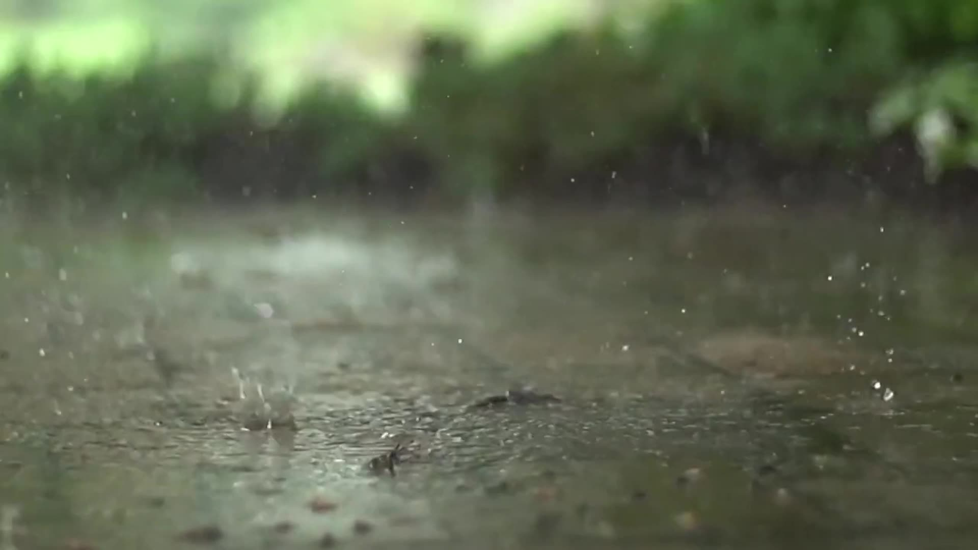 Filler-UJU-Mindfulness Minute - Light Rain