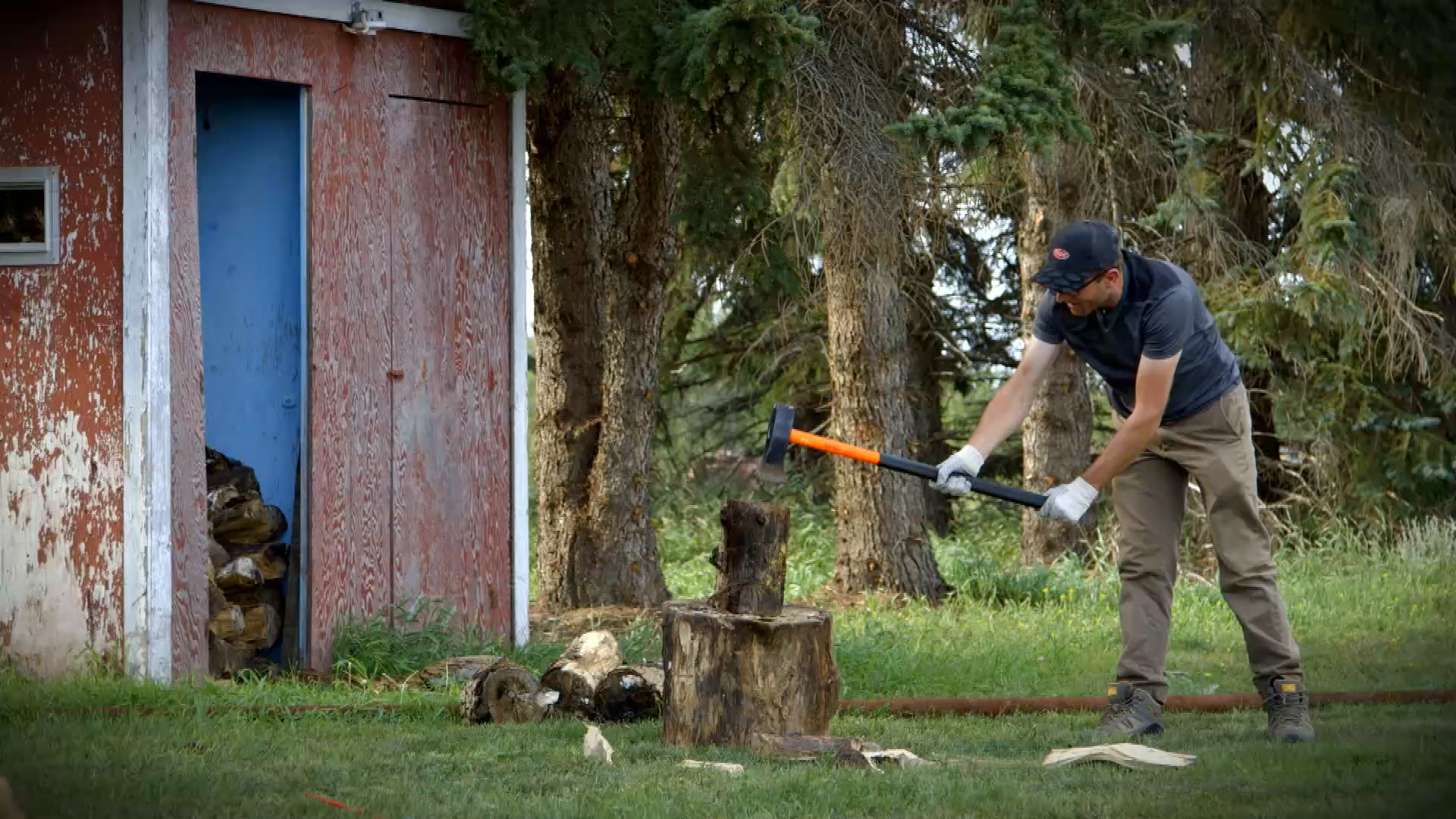 Filler - Dangers on the Farm