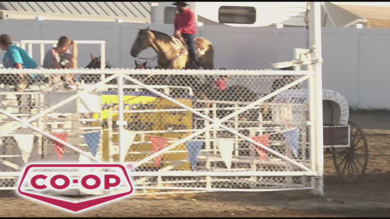 Thumbnail image for Swan-2019NWRSaturdayChuckwagons-July27