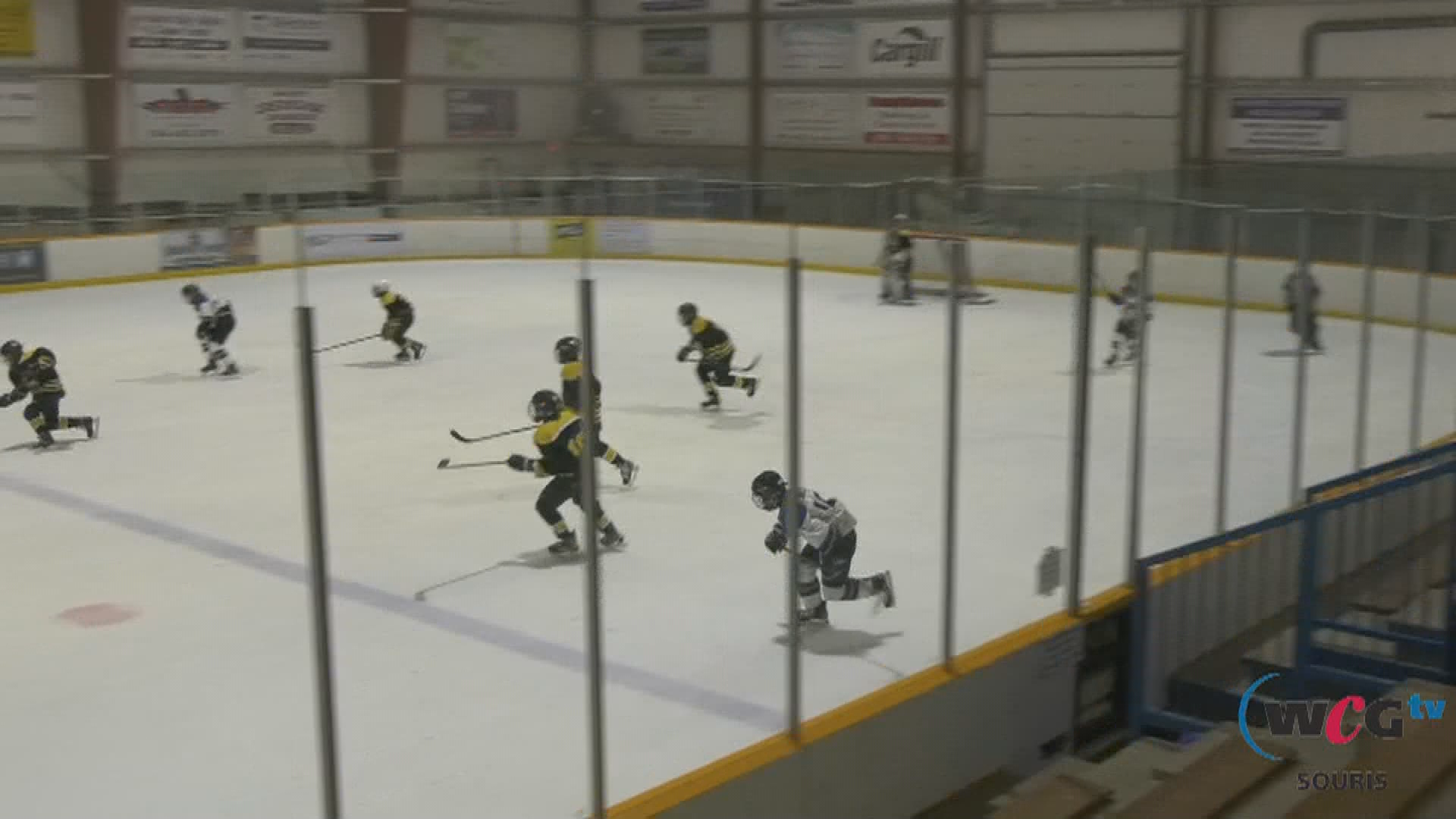 Thumbnail image for Sour - Souris Elks vs Deloraine & Hartney Royals - Pee Wee Boys - Feb 14, 2020