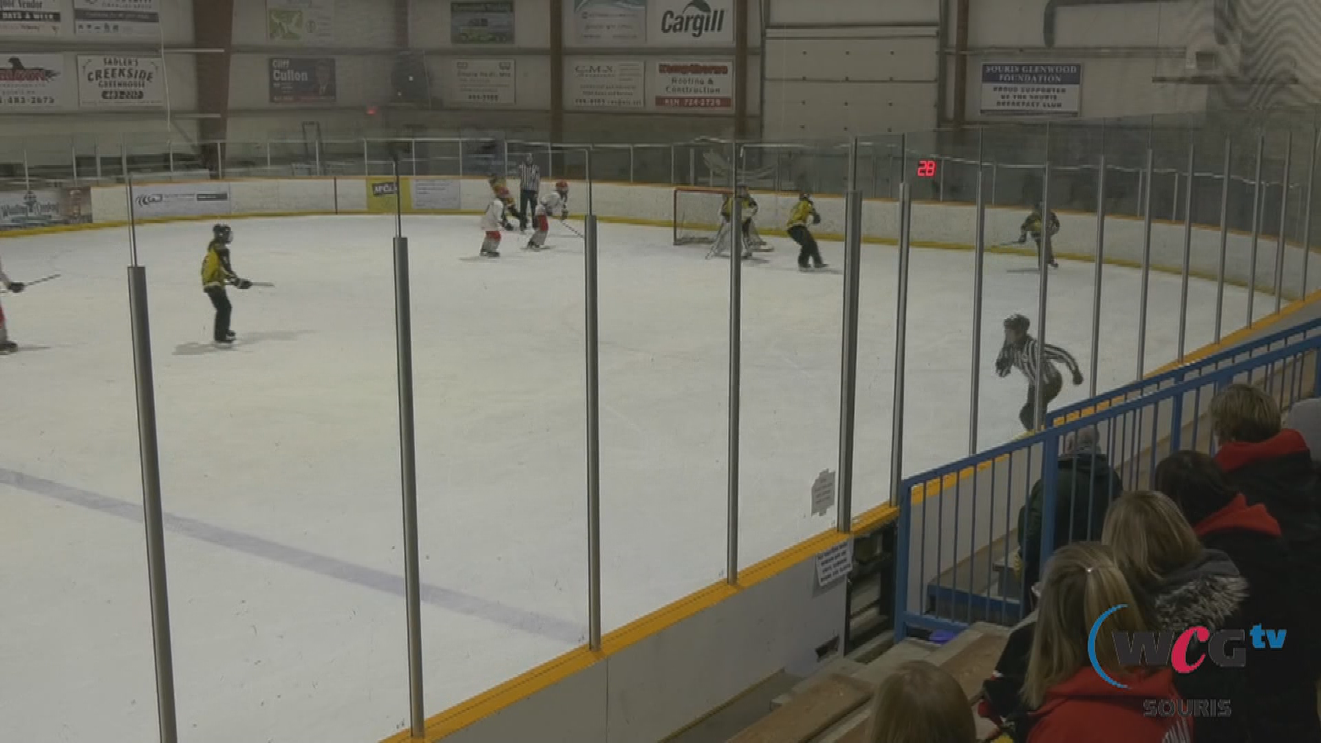 Thumbnail image for sour-Regina Stingers vs Eastman Flames U16 Ringette-February 16 2020