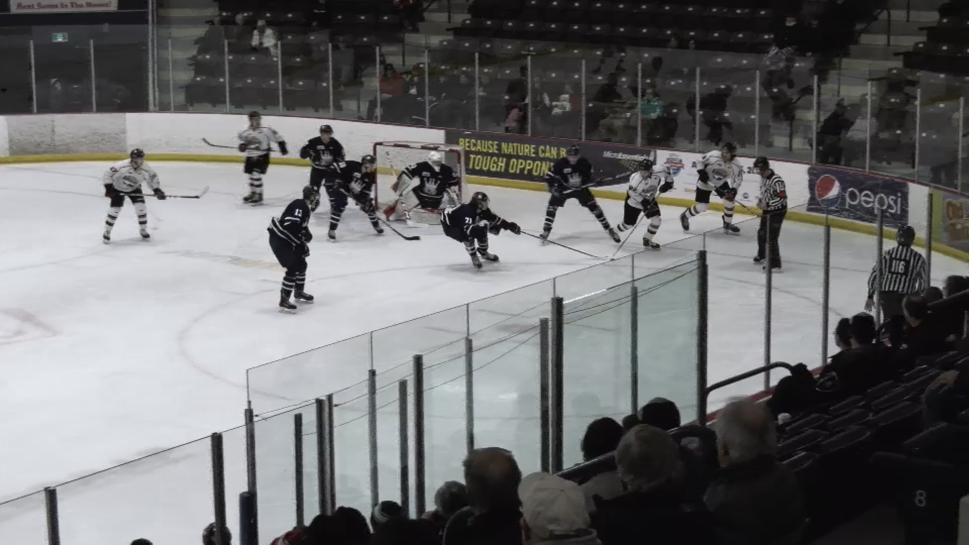 Thumbnail image for Daup - OCN Blizzard vs Dauphin Kings - Feb 18, 2020-