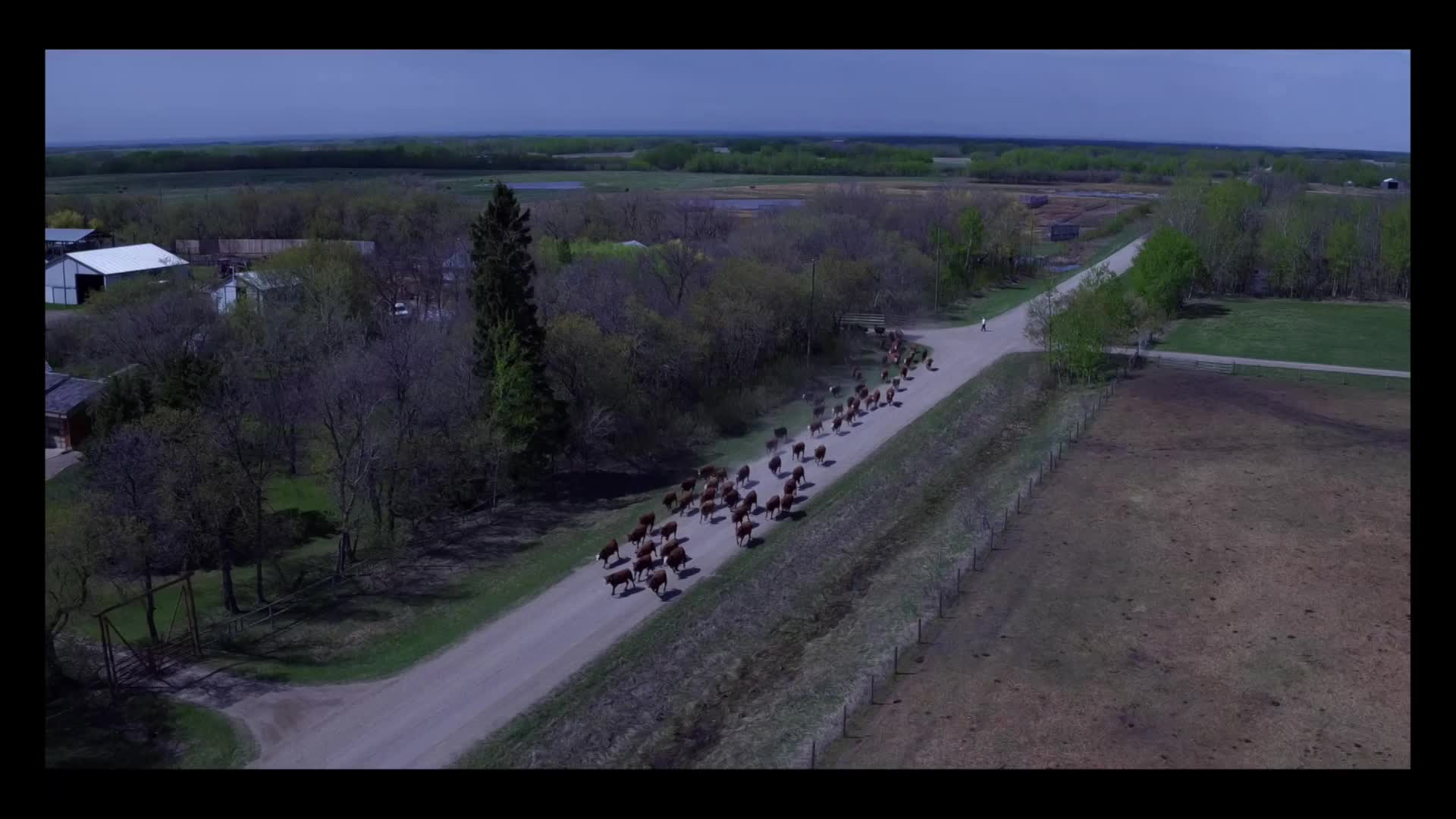 Thumbnail image for Birt - Filler - Down On The Farm