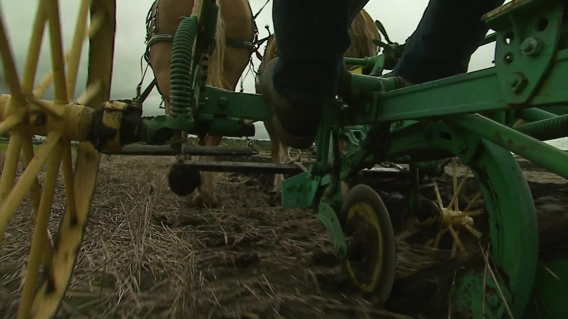 Thumbnail image for Birt - Filler - Farming With Horses