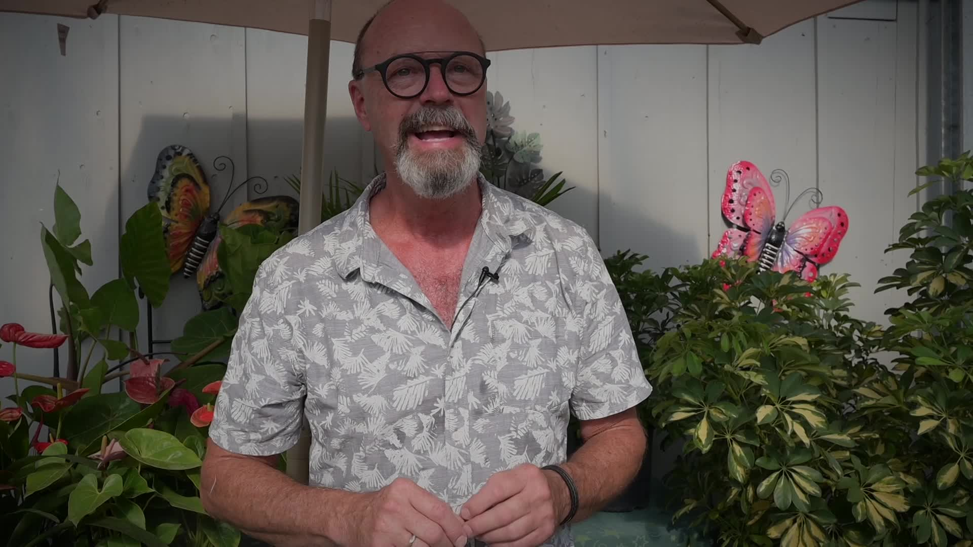 Thumbnail image for Filler-here we grow-how to care tropical plants_31_07_2020