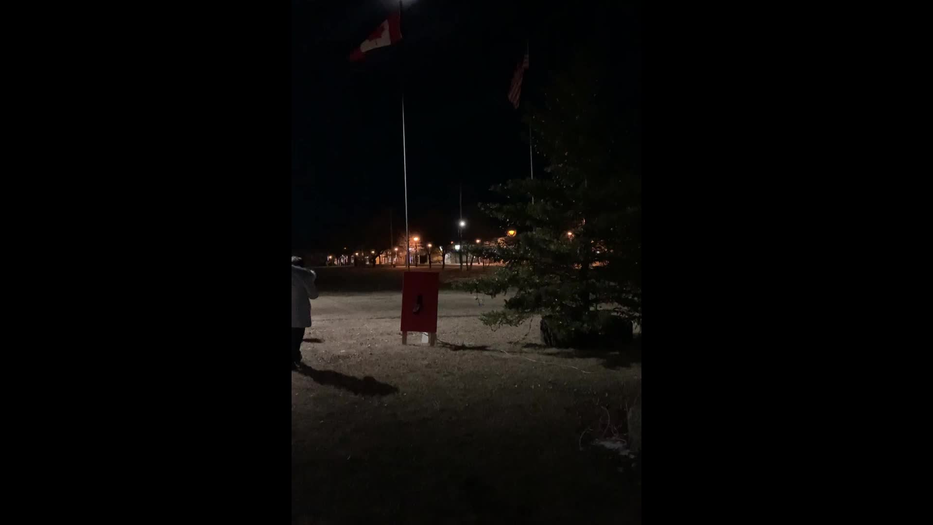 Thumbnail image for Boissevain - Xmas Tree - 2020