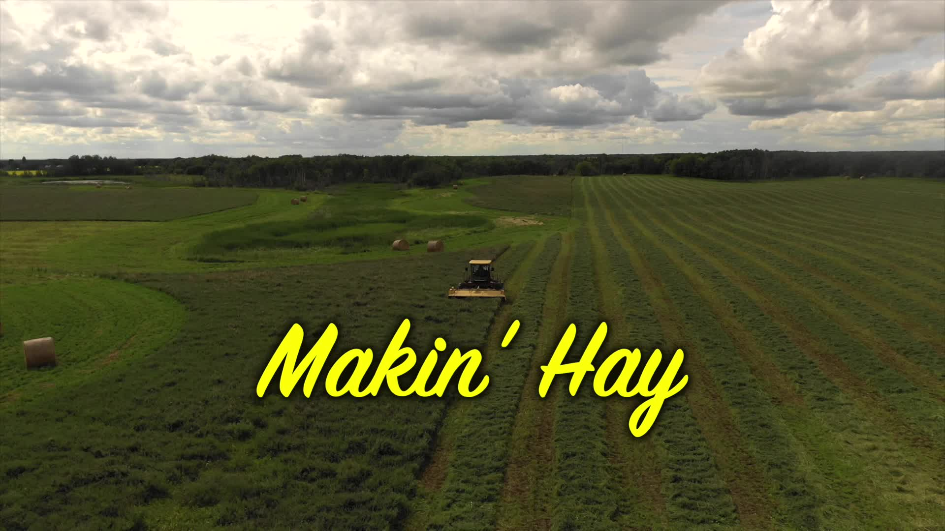 Thumbnail image for Birt - Filler - Makin' Hay - Nov 15, 2020