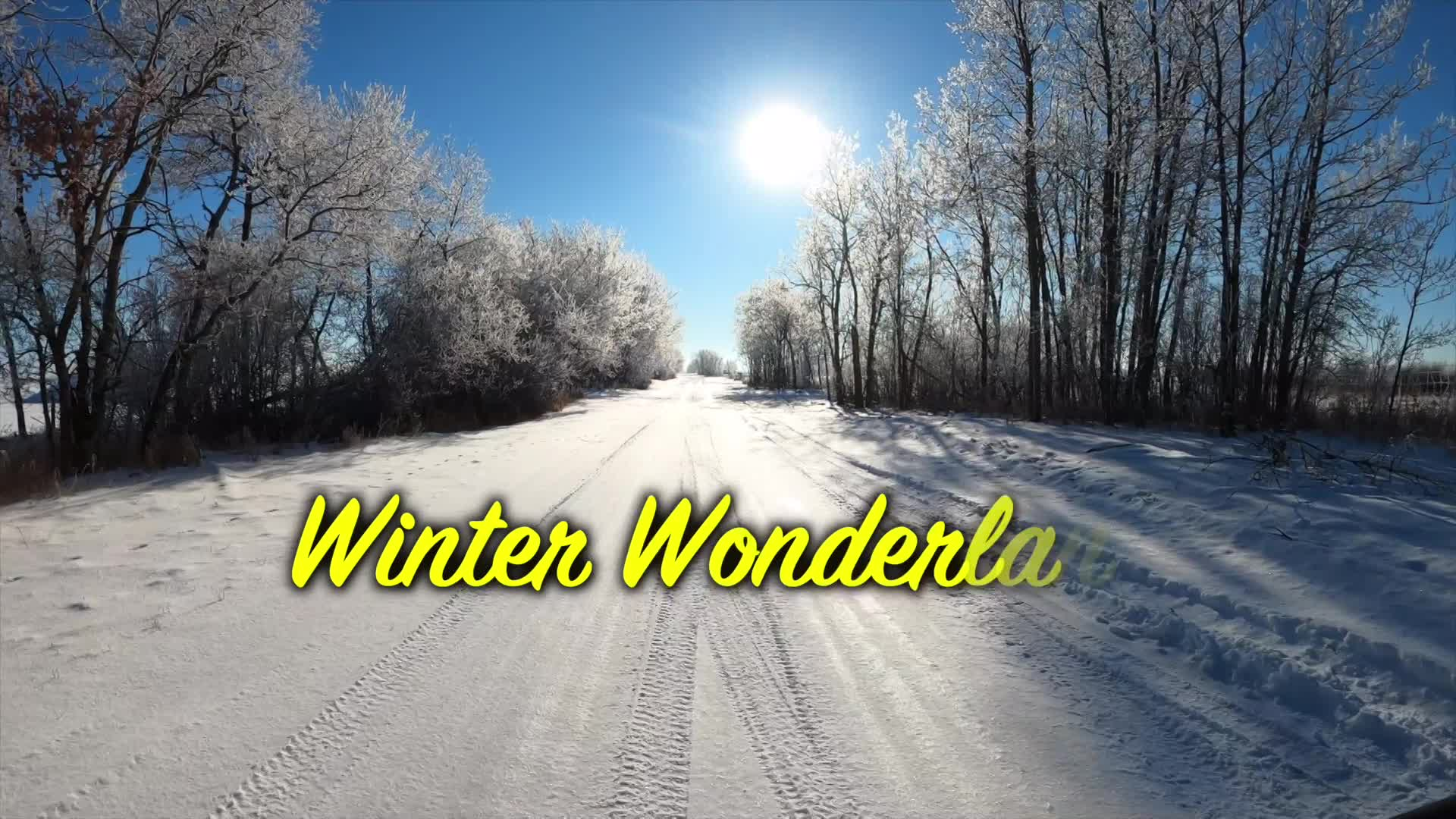 Thumbnail image for BIRT- Winter Wonderland - Feb 6 2021