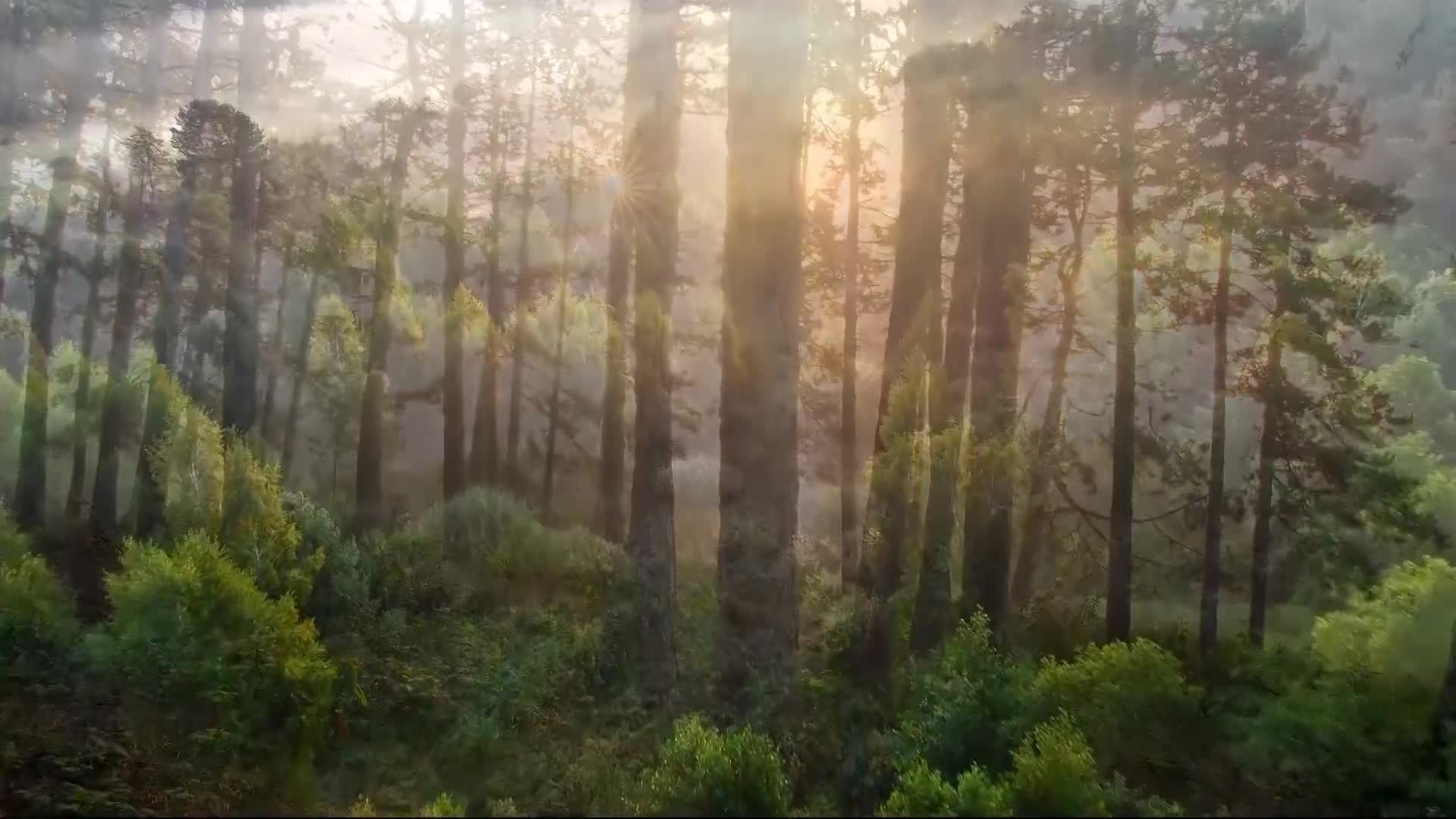 Thumbnail image for Tabernacle Choir - 4675 The Great Miracle