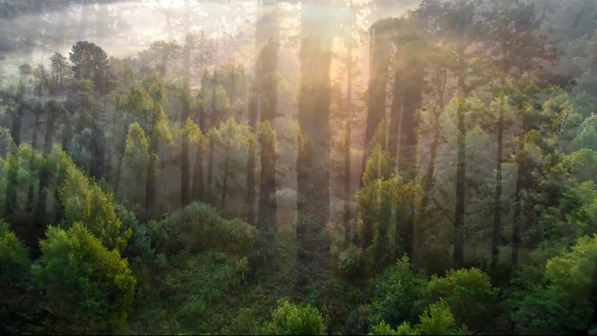 Thumbnail image for Tabernacle 4791 Weekly