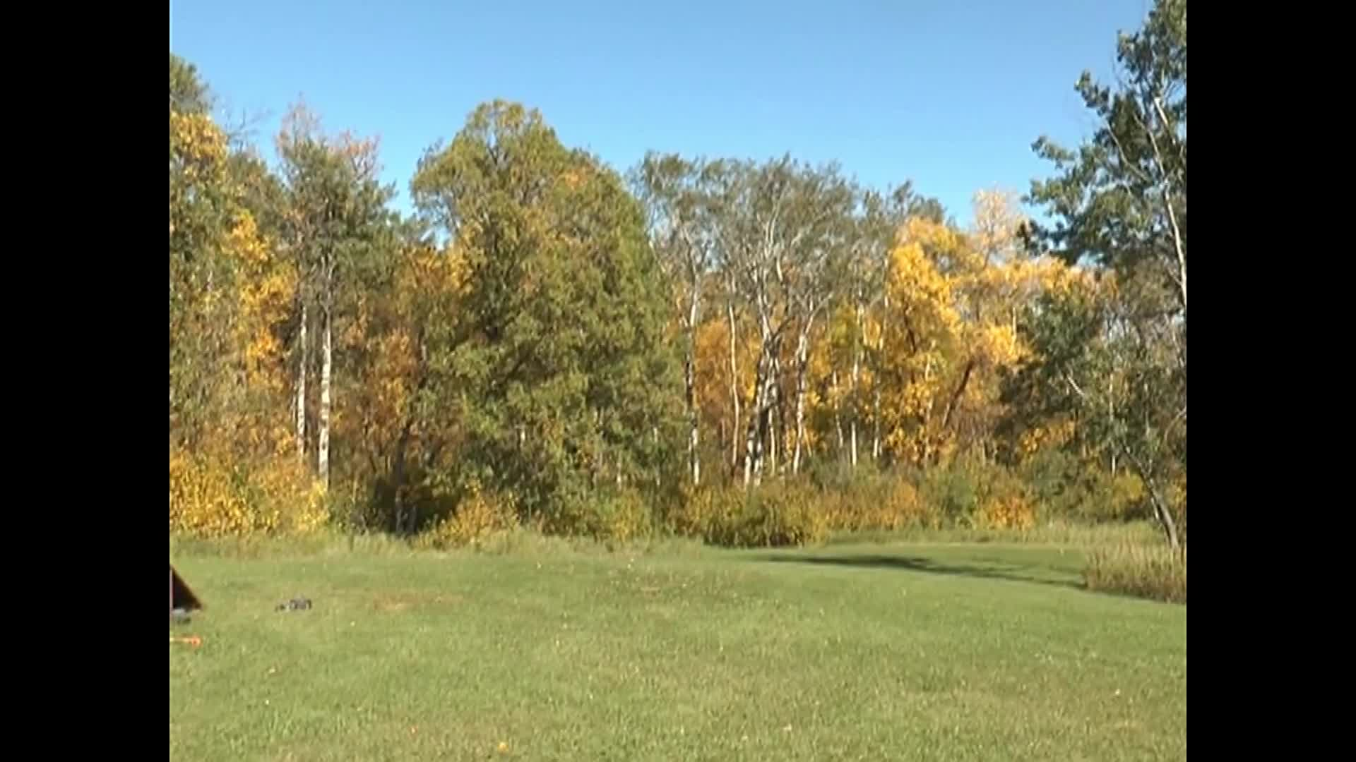 Thumbnail image for Boissevain Fall Colours September 20, 2021