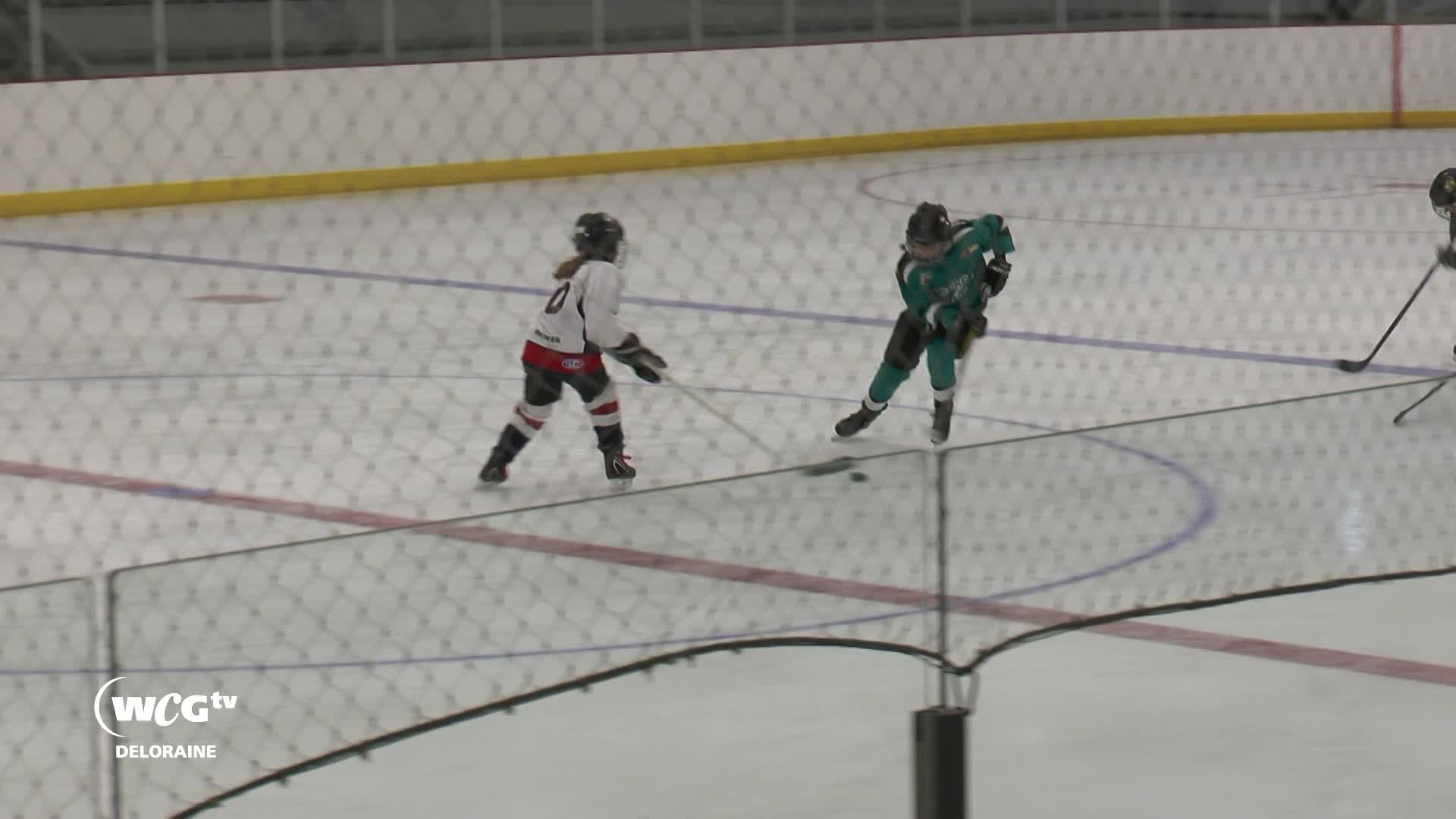Thumbnail image for Delo - Elm Creek Lighting VS Southwest Stars 2022 Hockey Provincials Under 11-A Female February 26th 2022