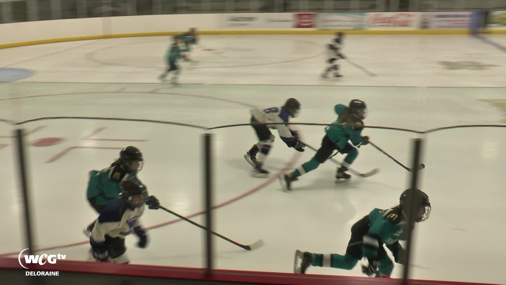 Thumbnail image for Delo - Landmark Blues VS Elm Creek Lighting Gold Medal Game Female u 11 'A' Provincial Hockey  February 27th 2022