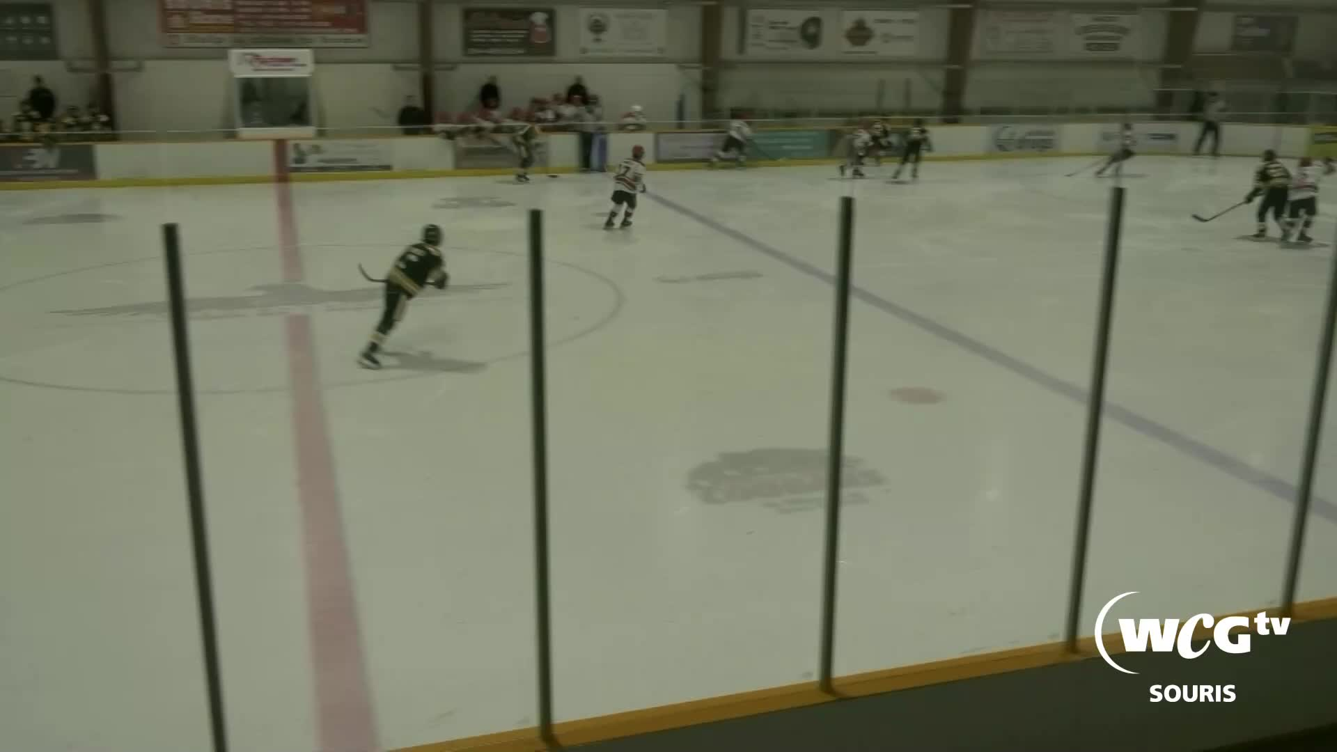 Thumbnail image for Sour-Cougars Vs Buffalo-March 19 2022