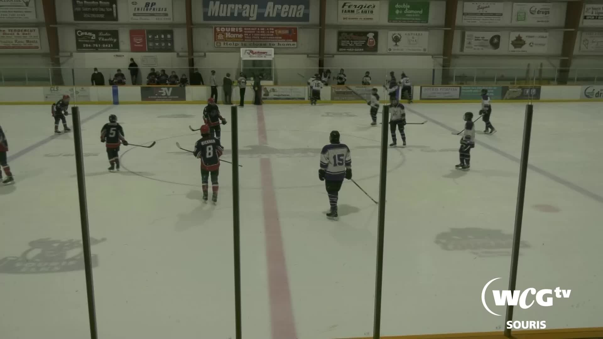 Thumbnail image for Sour-Elks VS Kings-March 13 2022