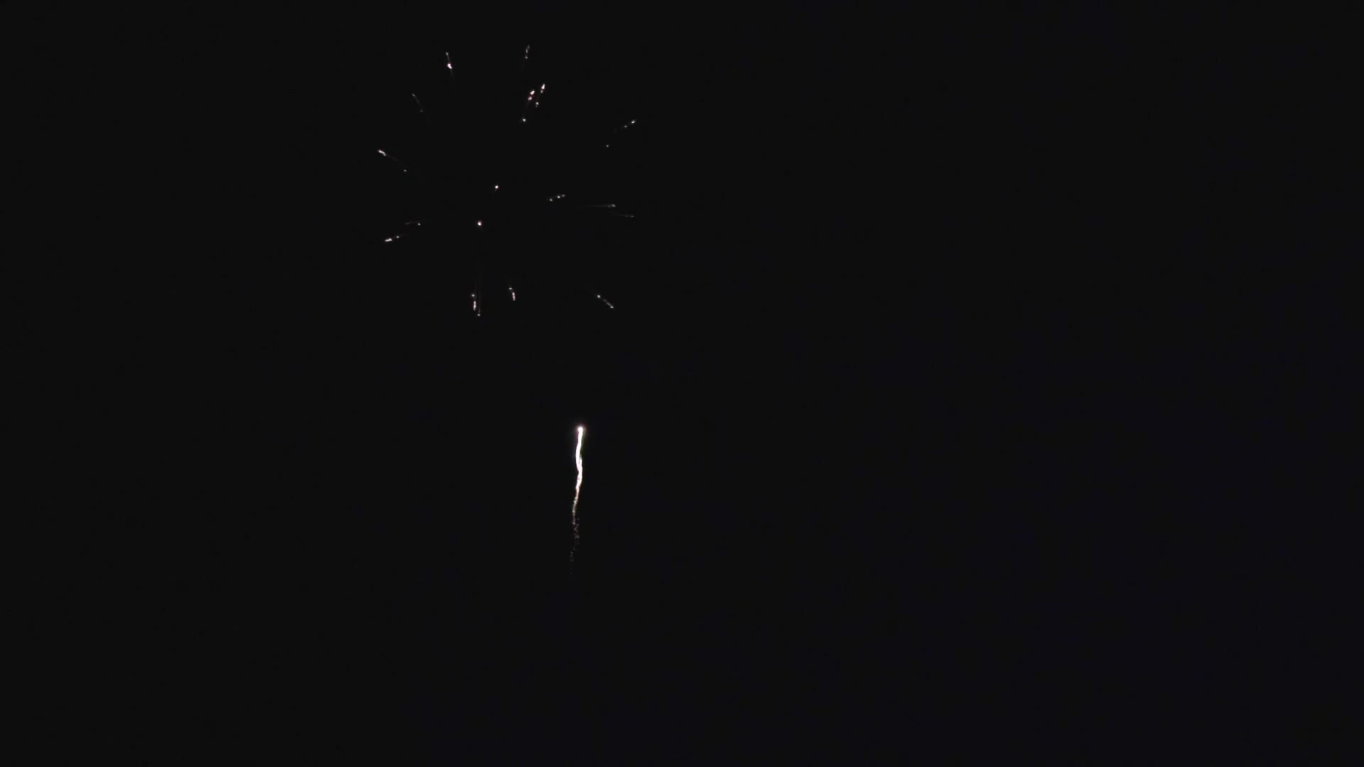 Thumbnail image for Swan-2022  Fireworks-July1