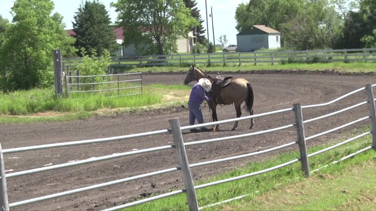 Thumbnail image for Ster Parkland Horsemen races 2022