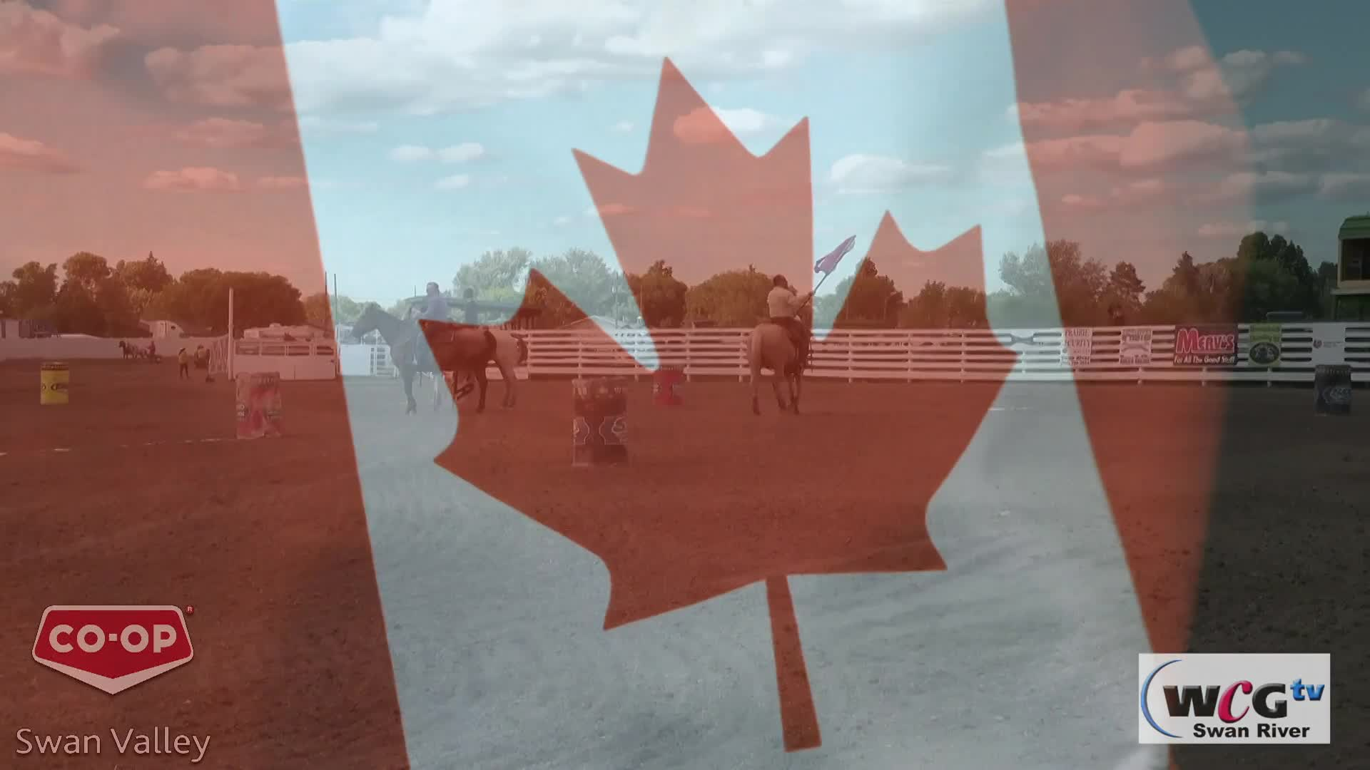 Thumbnail image for Swan-2022 Thursday Pony Chariot Races-Jul28