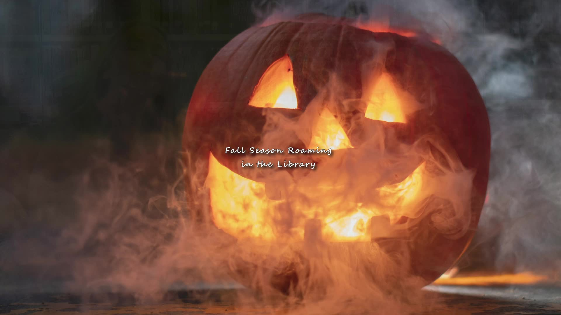 Thumbnail image for CARB_Fall Season Roaming in the Library_12Oct2022