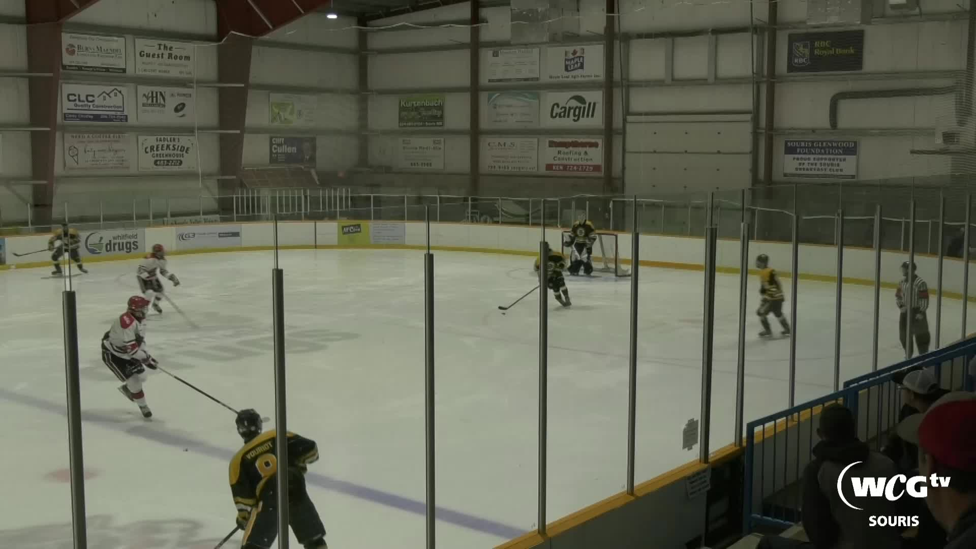 Thumbnail image for sour-cougars Vs Wpg Bruins-Oct 9 2022