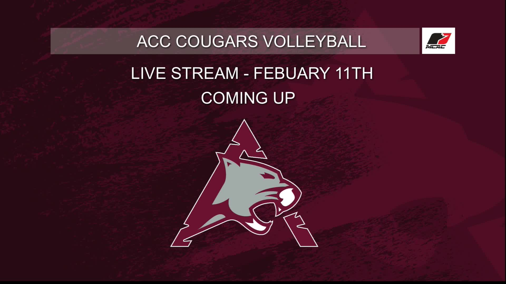 Thumbnail image for ACC Volleyball_Feb 11_2023