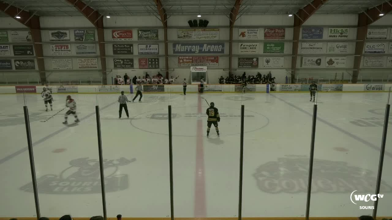 Thumbnail image for Sour-Cougars Vs Brandon-March 2 2023