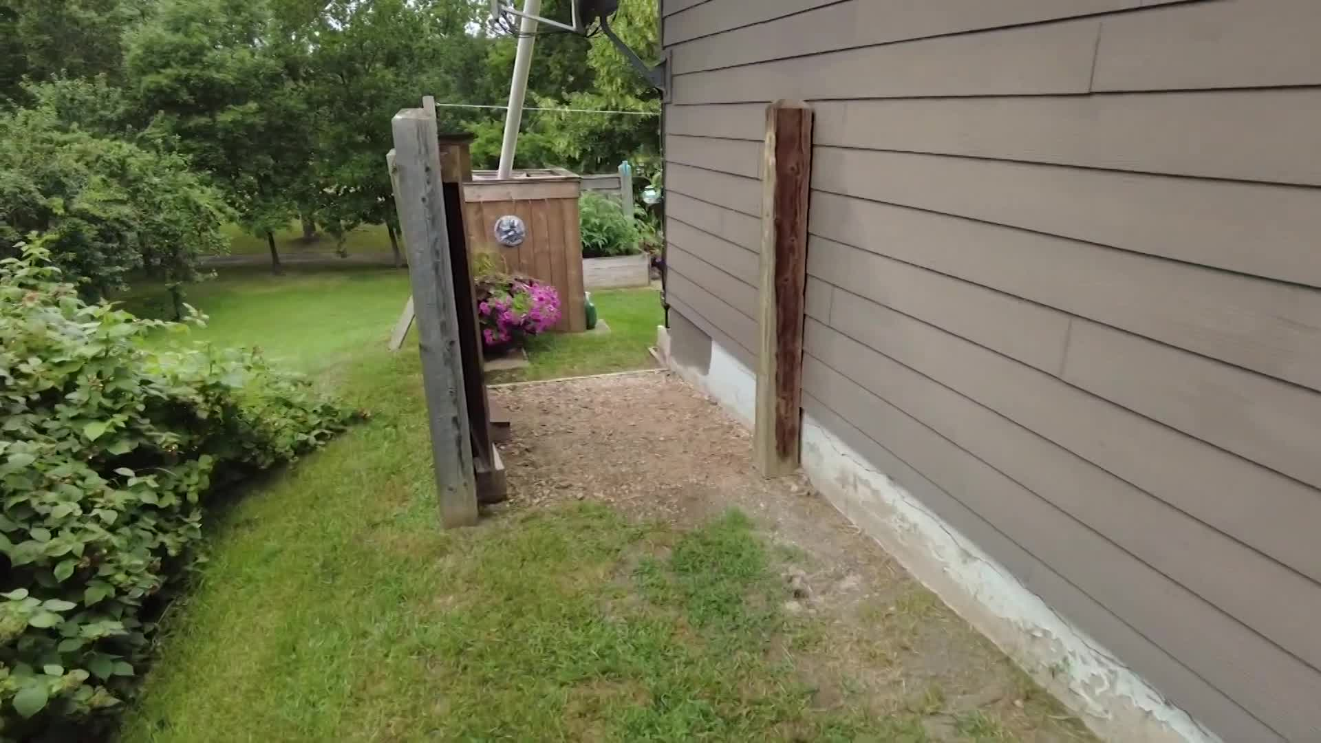 Thumbnail image for Swan-2023 TWB Garden Walks-July21