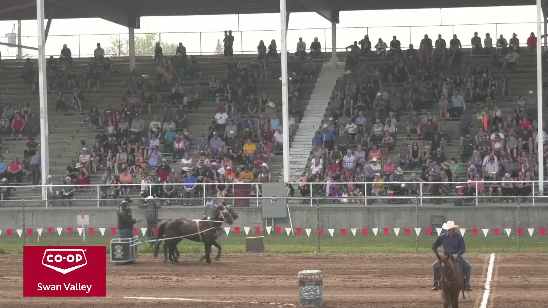Thumbnail image for Swan-2023 NWR Sunday Pony Chariots-Jul30