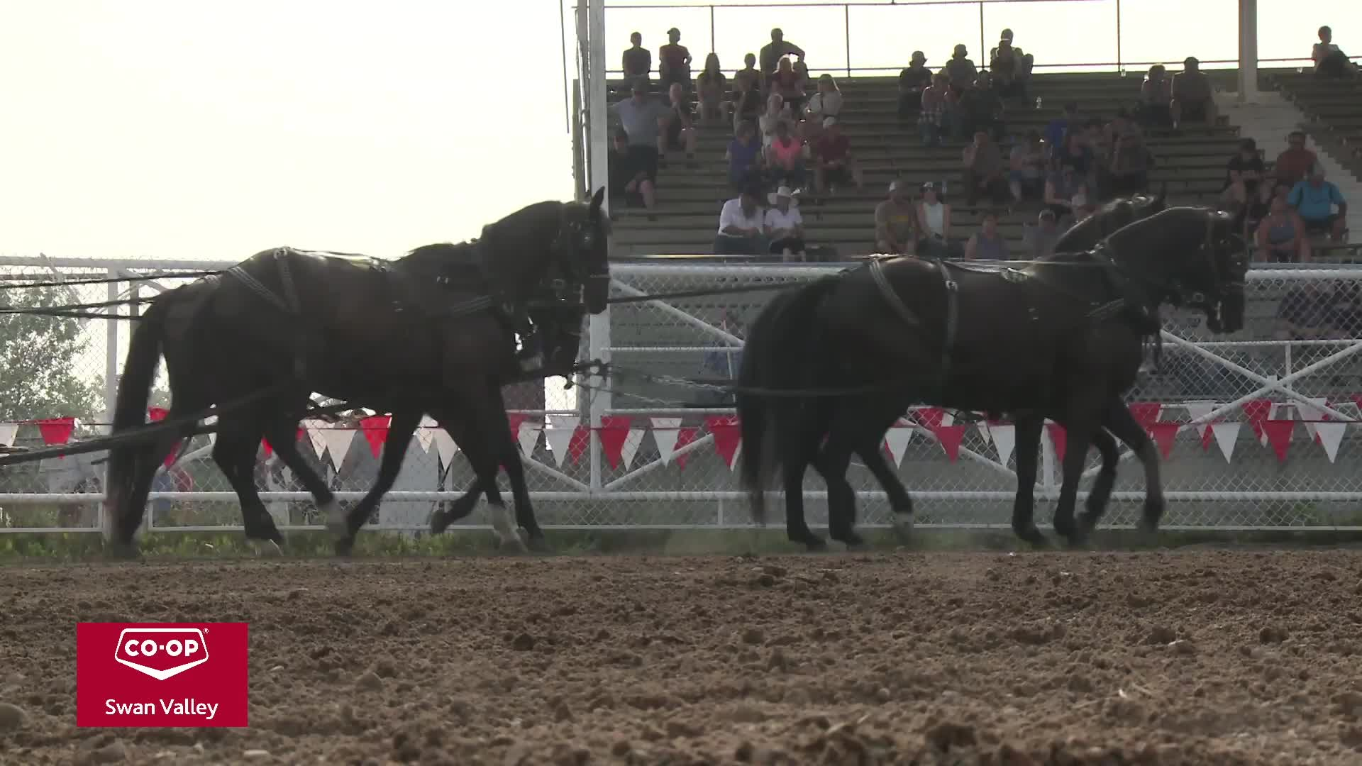 Thumbnail image for Swan-2023 NWR Sunday Chuckwagons-Jul30