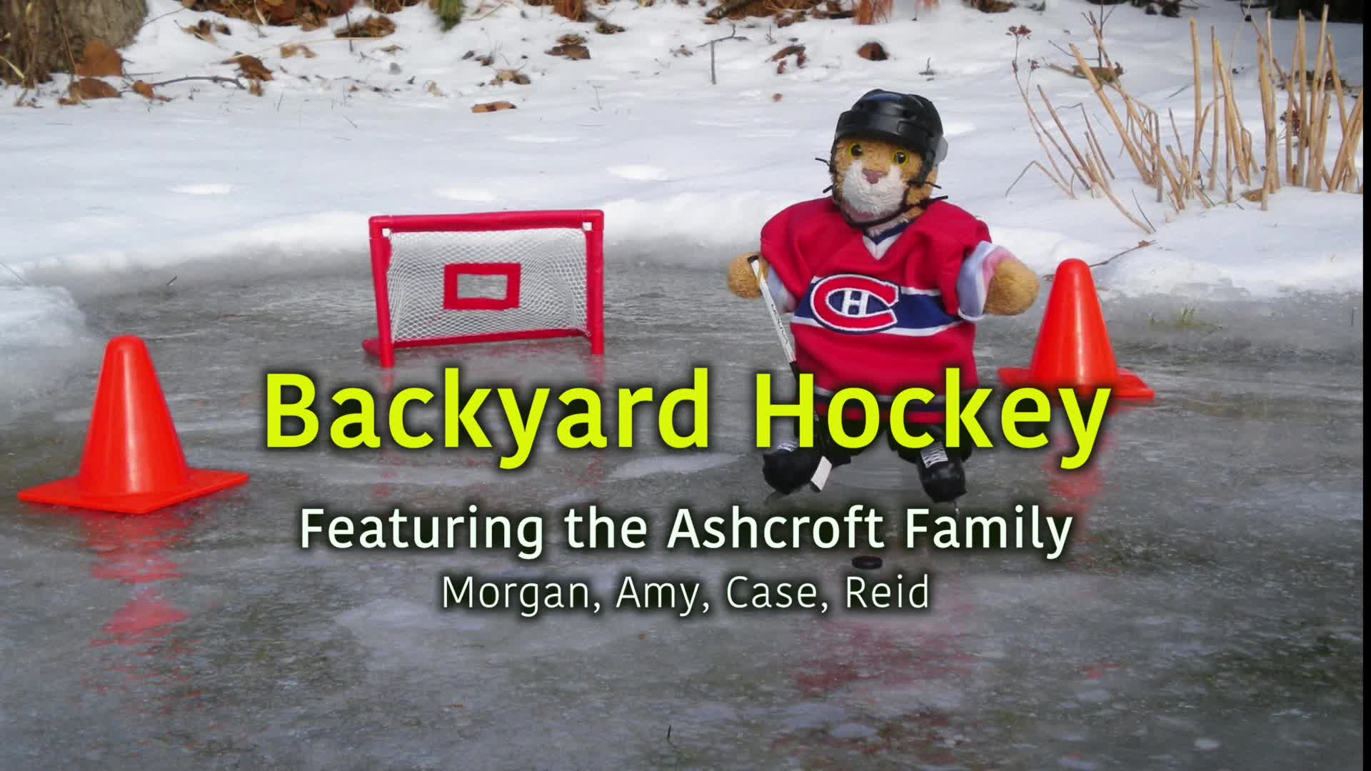 Thumbnail image for Birt-FILLER Backyard Hockey-06 Nov 2023