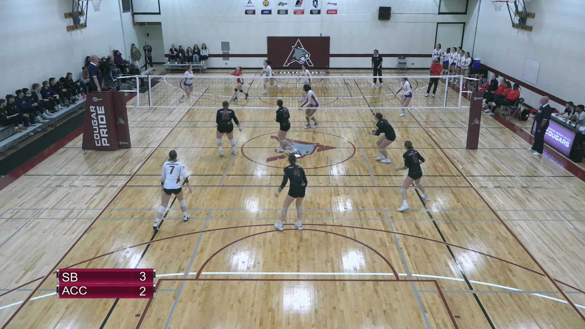 Thumbnail image for ACC Volleyball vs USB Womens Game_Nov 18_2023