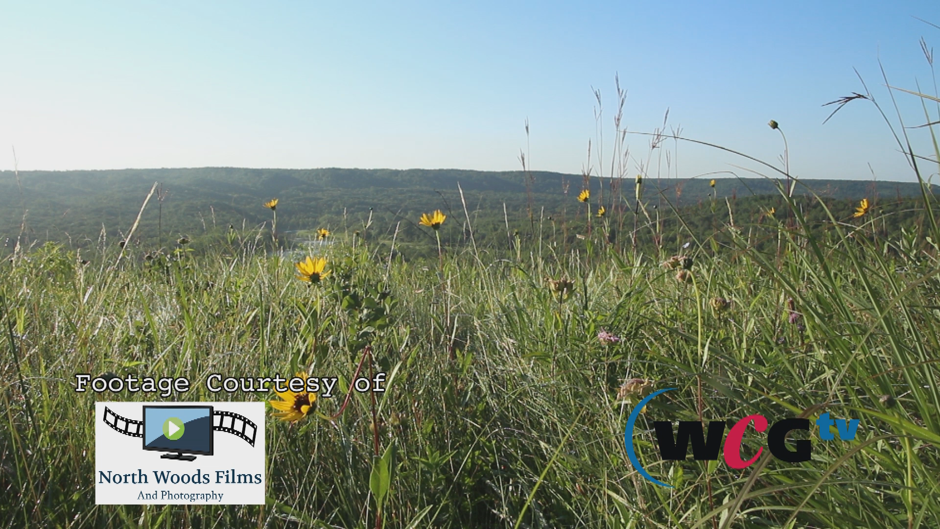 Thumbnail image for Scenic-Little Flowers 12sec