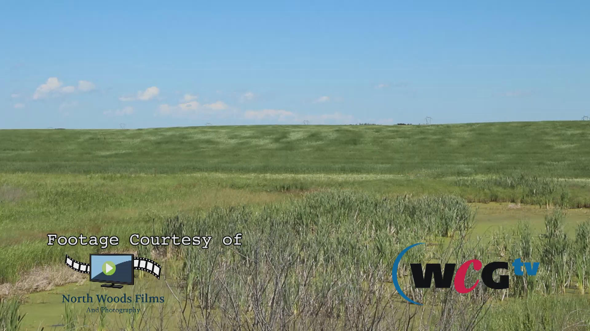 Thumbnail image for Scenic-Wind blowing field 14sec