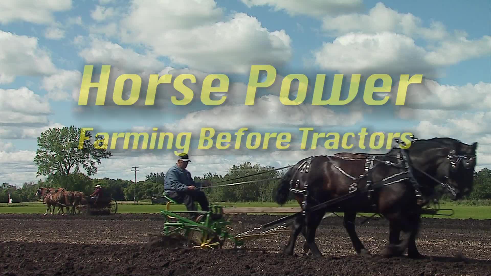 Thumbnail image for Horse Power - Farming Before Tractors