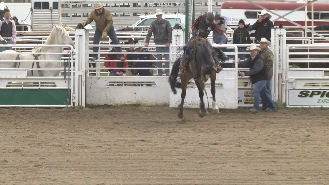 Thumbnail image for Swan-2017SVHSRodeo-May13