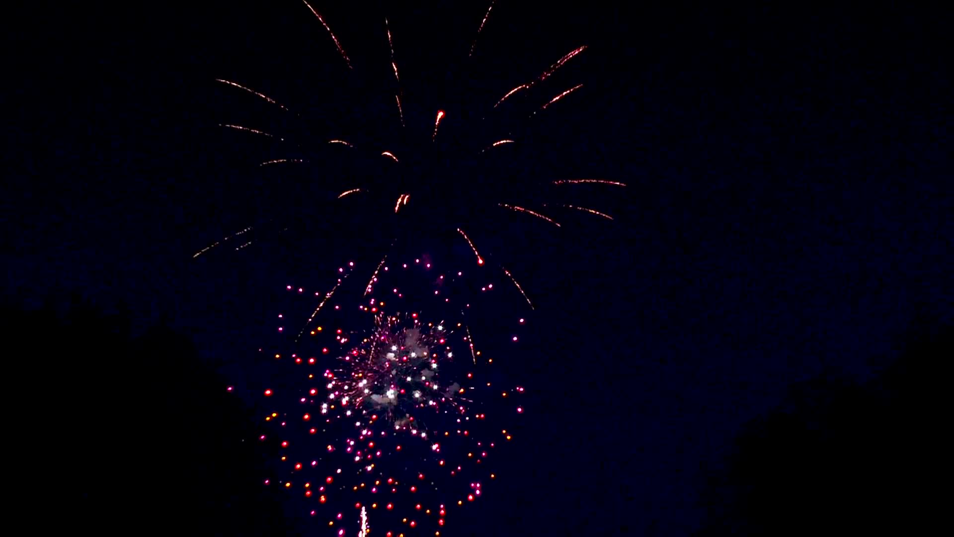 Thumbnail image for Swan-2024 Fireworks-Jun30