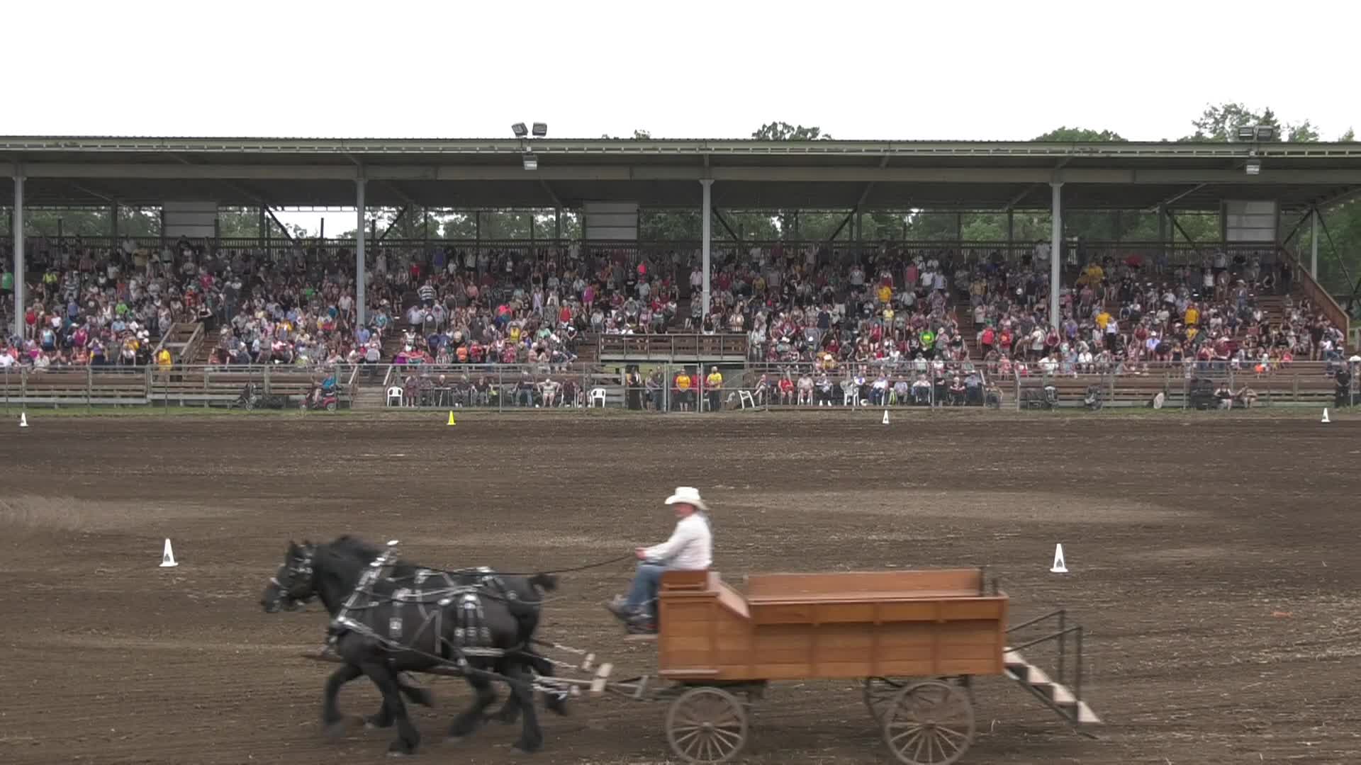 Thumbnail image for MTRS RCMP Musical Ride 2024