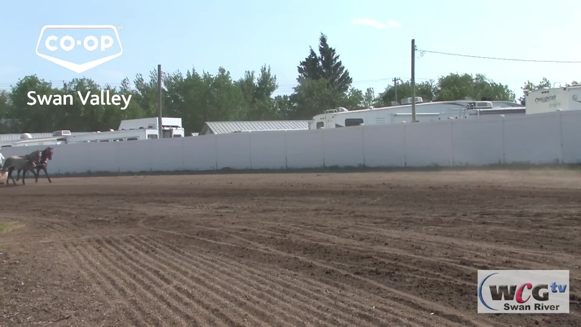 Thumbnail image for Swan-2024 NWR Friday Chariots-Jul26