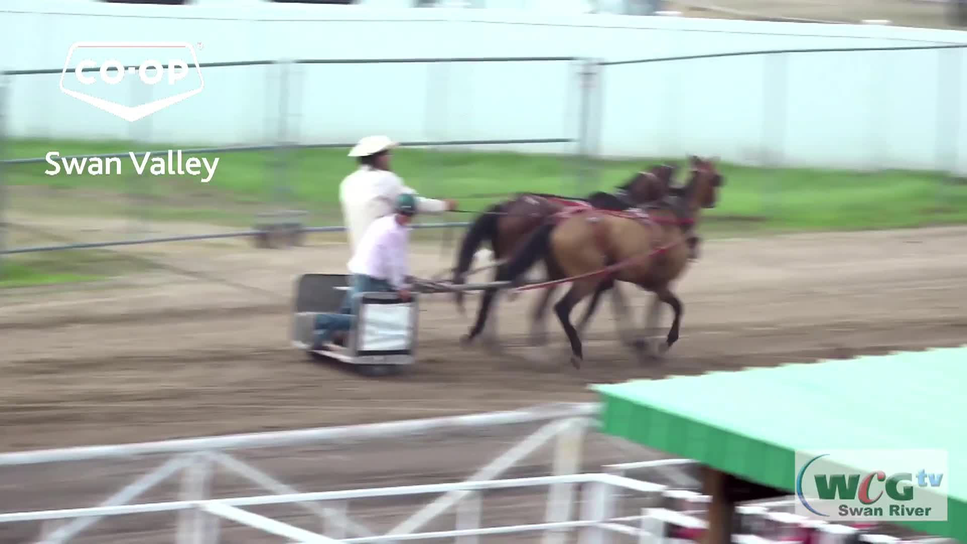 Thumbnail image for Swan-2024 NWR Sunday Chariots-Jul28