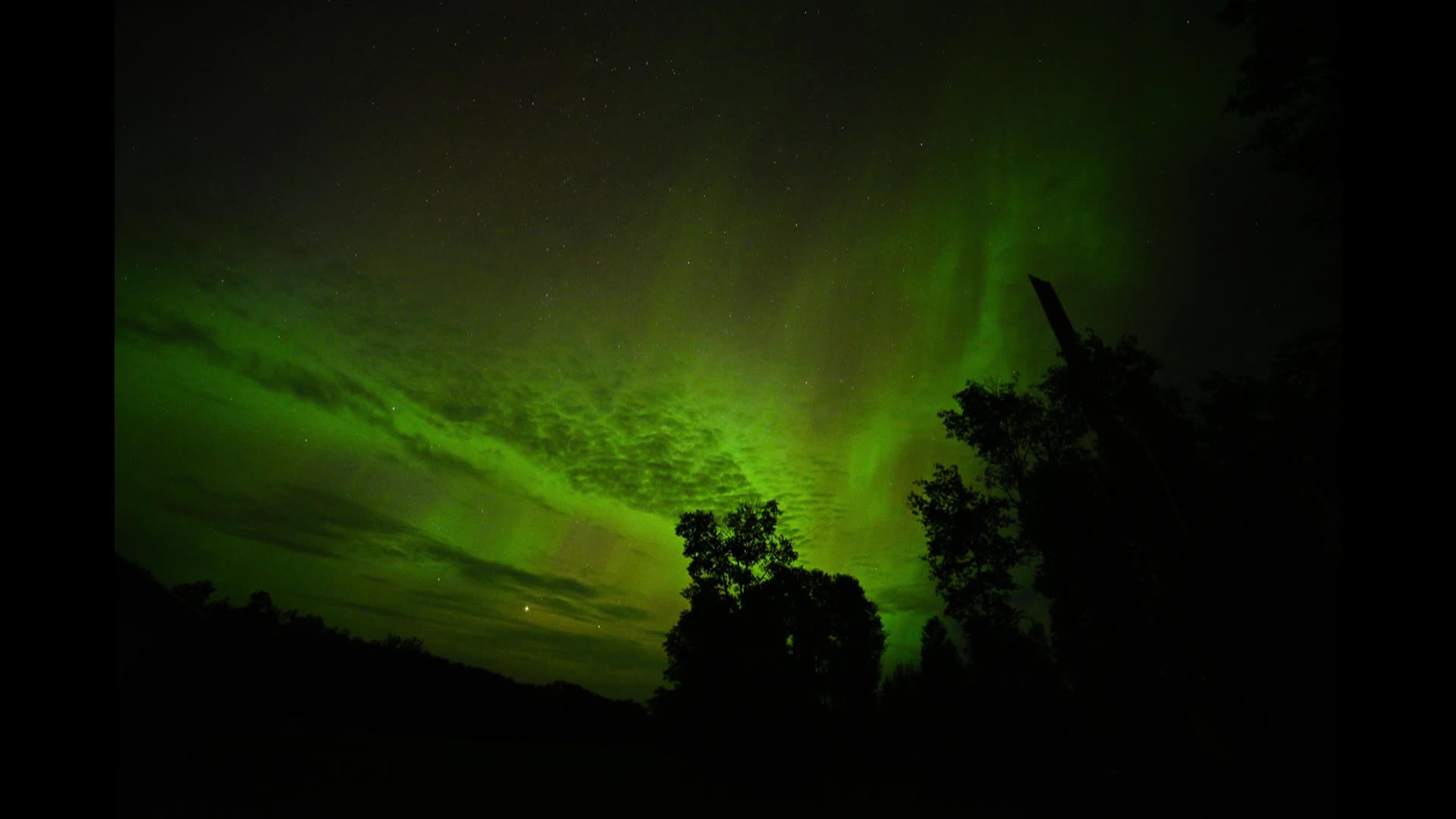 Thumbnail image for Swan-Norther Lights-15July2024