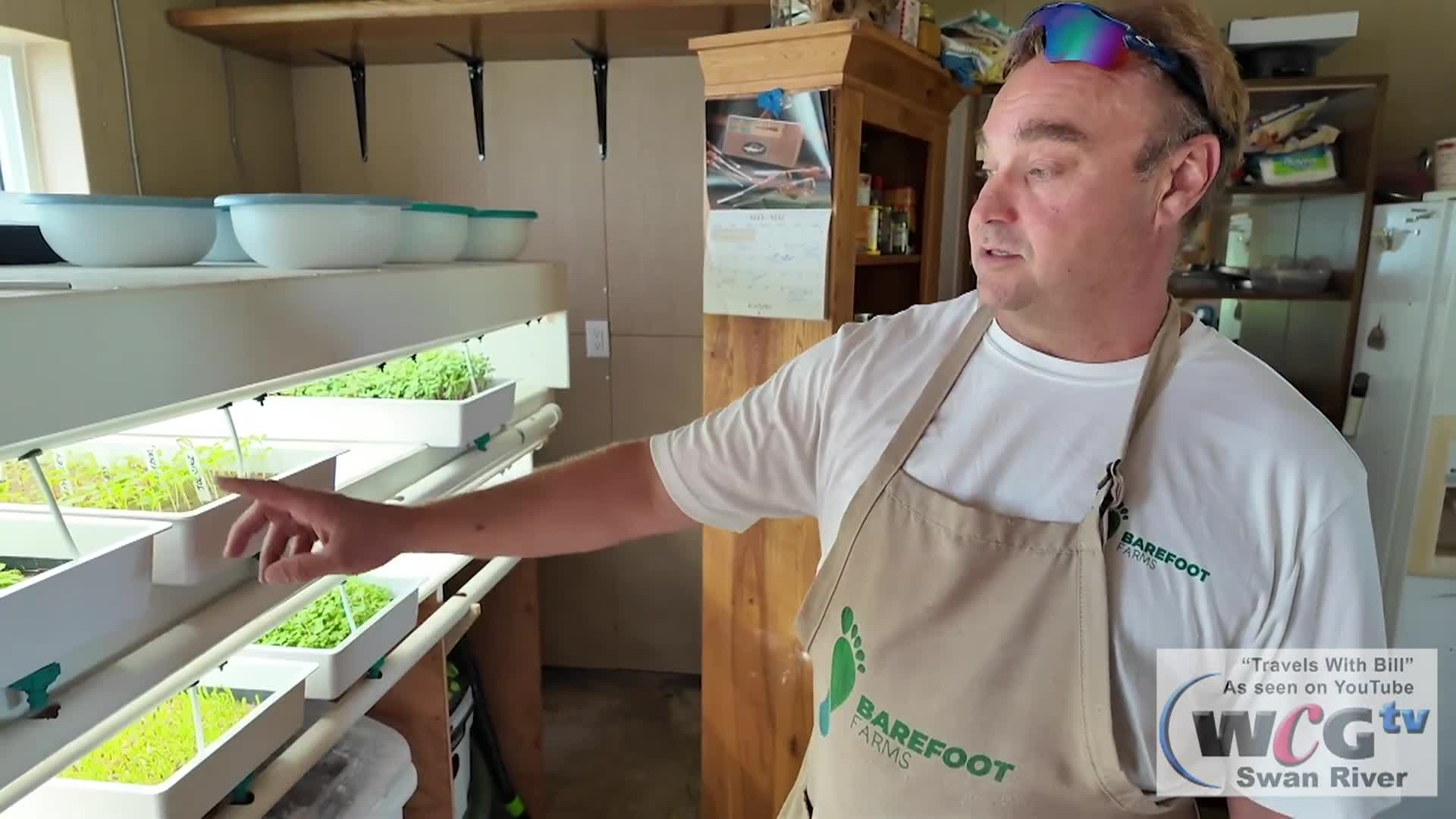 Thumbnail image for Swan-2024 TWB Shorts Collection Vol 1-Oct12