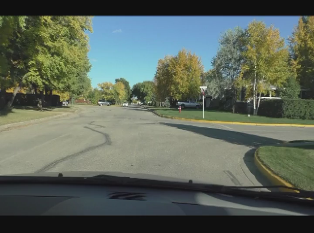 Thumbnail image for Swan River Filler - Autumn Drive in Swan River