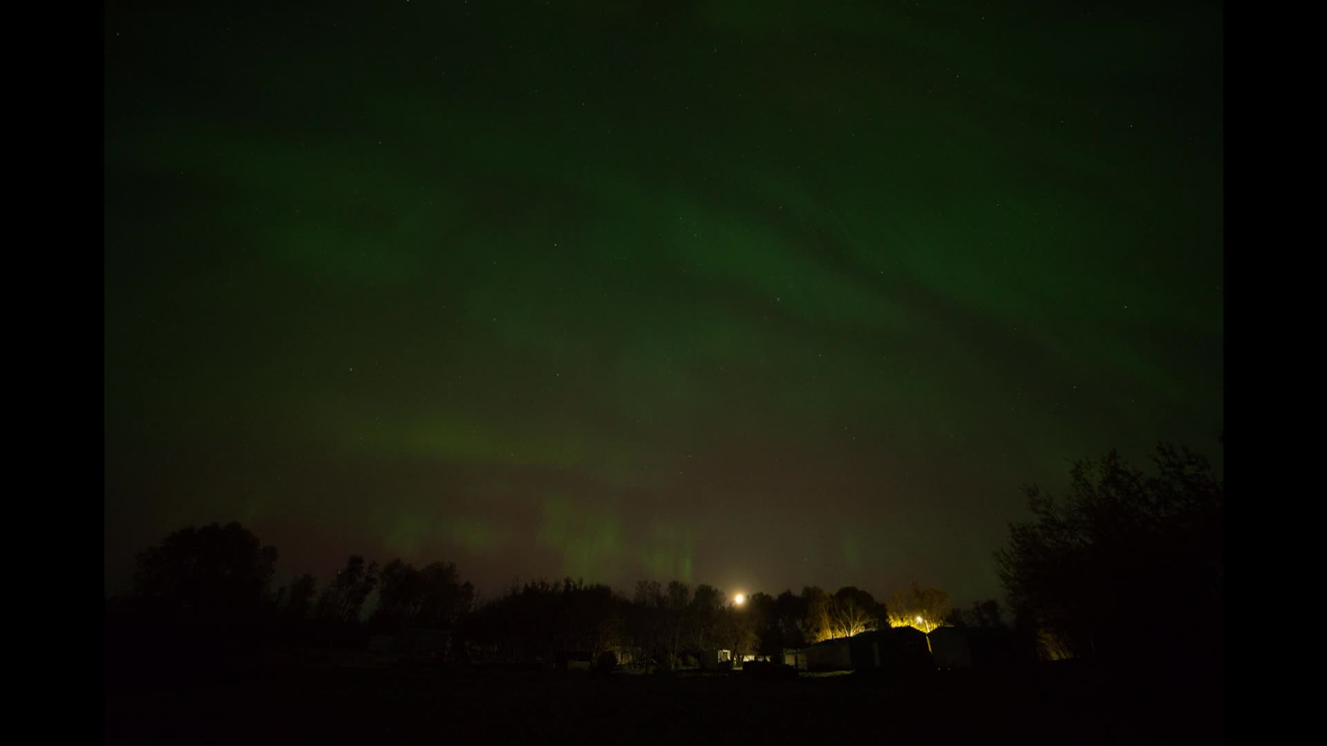 Thumbnail image for Swan - Nightlapse - 15Oct2024