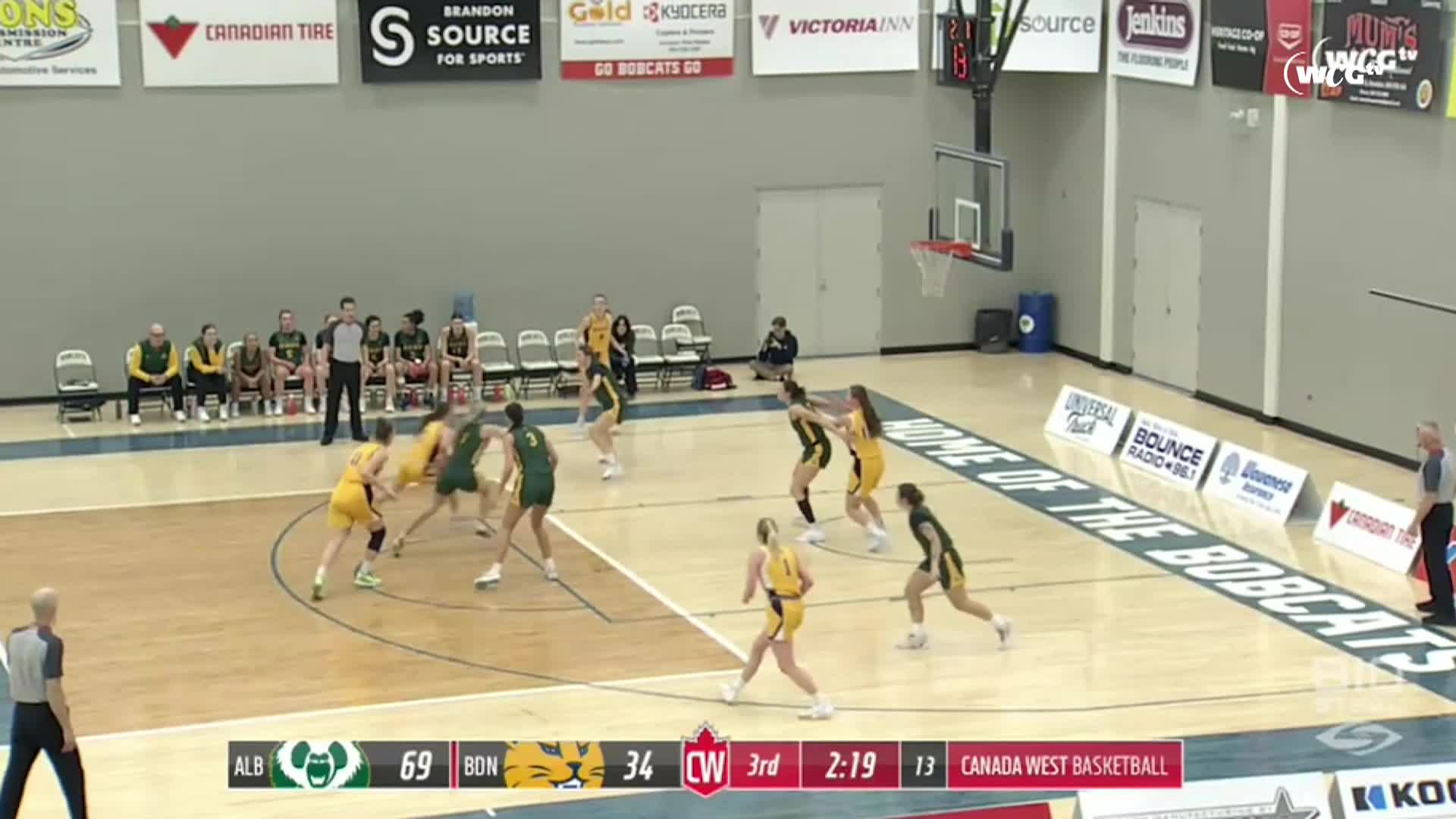Thumbnail image for Brandon University Bobcats Basketball vs University of Alberta Golden Bears Womens Game (Live)_Nov 23_2024