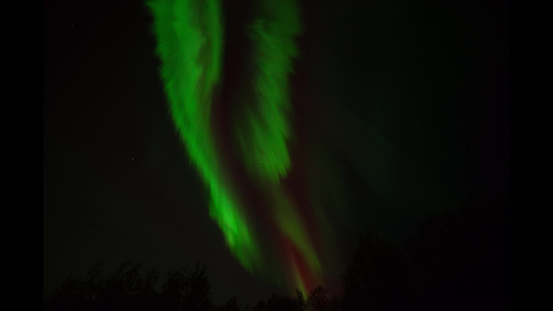 Thumbnail image for Swan - Aurora - 2nov2024
