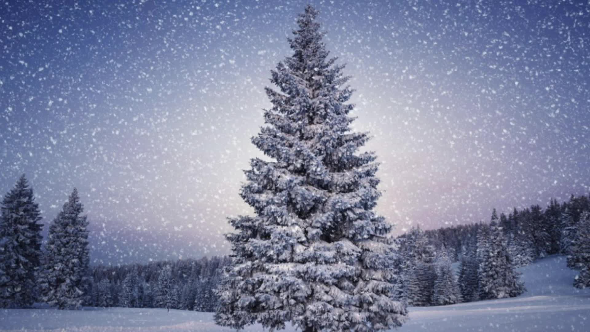 Thumbnail image for CARB_Holiday Music by Becky_20Nov2024