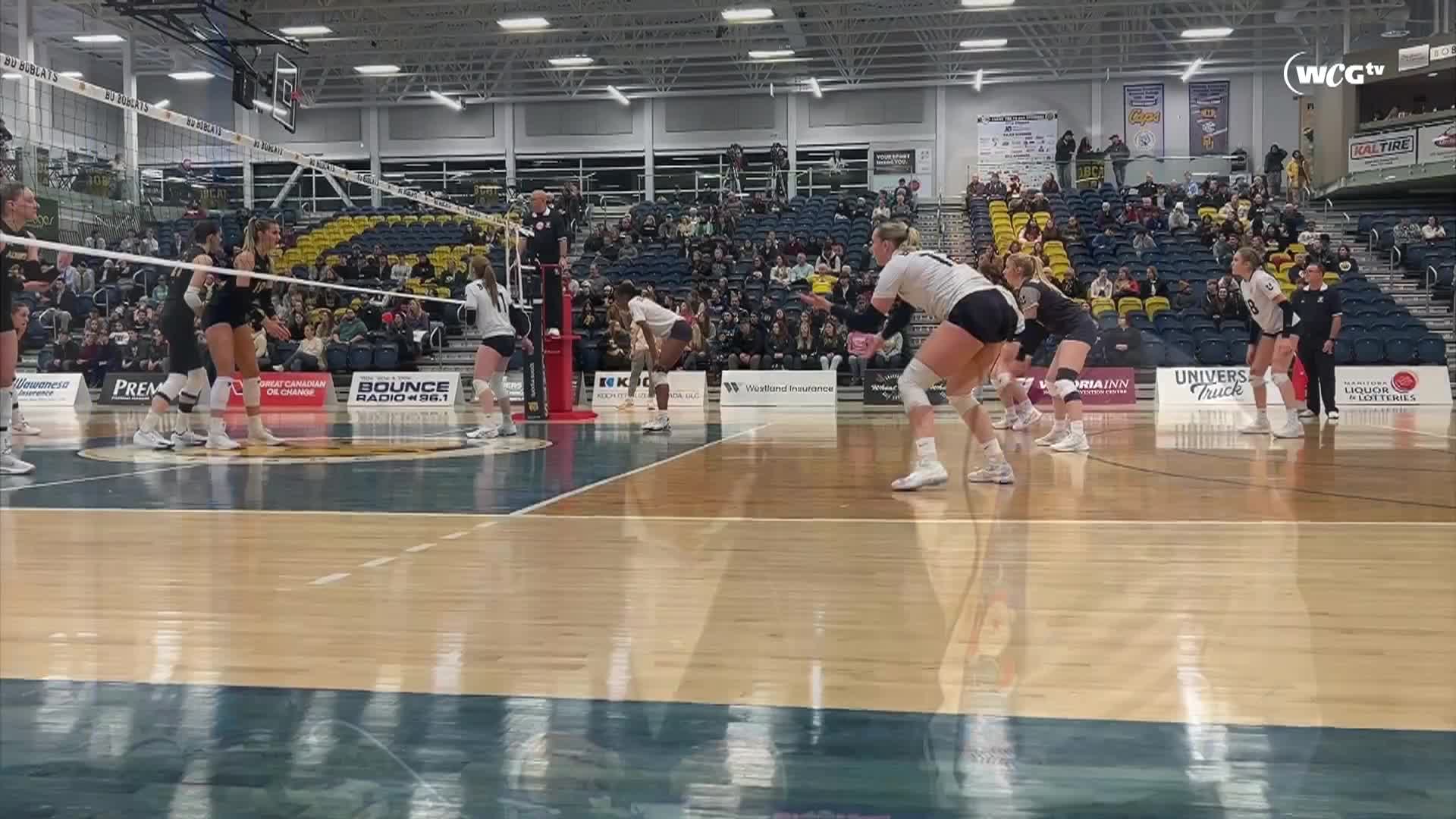 Thumbnail image for Brandon University Bobcats Volleyball vs University of Alberta Golden Bears Womens Game (Live)_Nov 30_2024