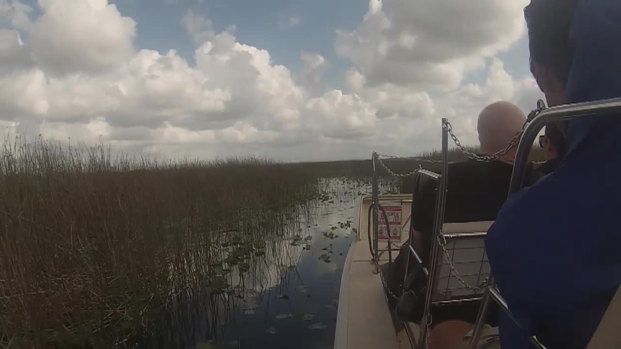 Thumbnail image for Airboat ride - Made with Clipchamp